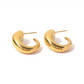 Persistence Earrings